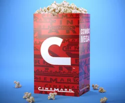 Popcorn Bag 3D model