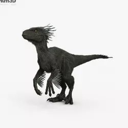 Raptor HD 3D model