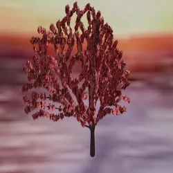 Red Leaf Japanese  Maple 3D model