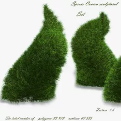 Spruce Conica sculptural 3D model