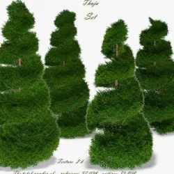 Thuja  sculptural 3D model