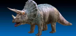 Triceratops Jurassic Dinosaur  Low-poly 3D model