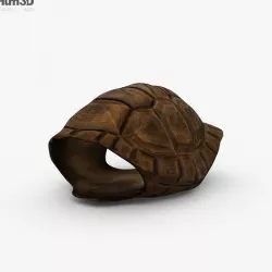 Turtle Shell 3D model