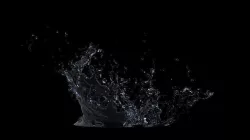 Water Splash 3D model