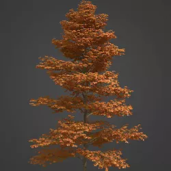 2021 PBR Black Alder Collection - Alnus Glutinosa  3D model