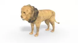3D Lion Model Low-poly 3D model
