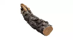 A Big Old Log 3D model
