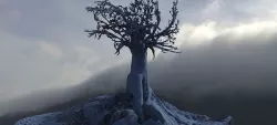 Ancient Tree Fantasy 3D model