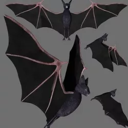 Bat with wings 2 Low-poly 3D model