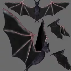 Bat with wings 3 Low-poly 3D model