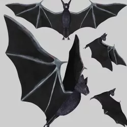 Bat with wings Low-poly 3D model