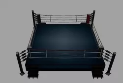 Boxing Ring Low-poly 3D model