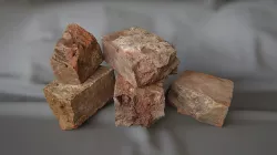 Bricks - 3D Scan 3D model