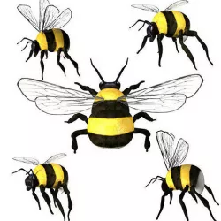 Bumblebee Low-poly 3D model