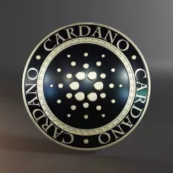 Cardano Crypto Coin 3D Model 3D model