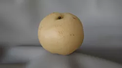 Chinese Pear 1 - 3D Scan 3D model