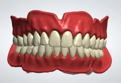 Digital denture Teeth with roots 3D model