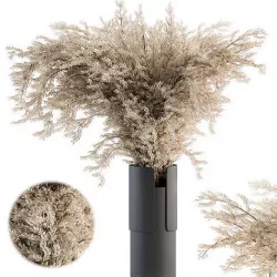 Dry plants 49 - Dried Plant Pampas 3D model