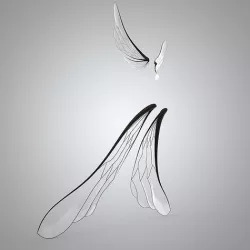 Elf Wings 3D model