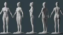 Female Body 3D model