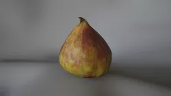Fig 1 - 3D Scan 3D model