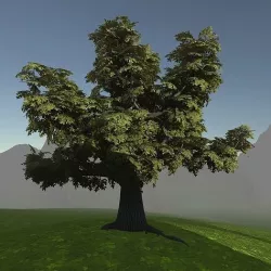 Game ready model old oak Low-poly 3D model
