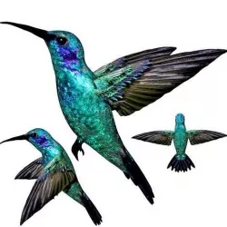 Hummingbird Low-poly 3D model