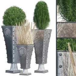 Lightfoot 3D model