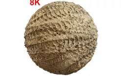 Mud Tire Track  Texture