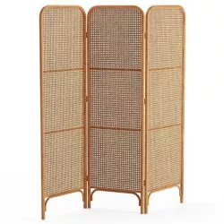 Ria Room Divider Screen 3D model