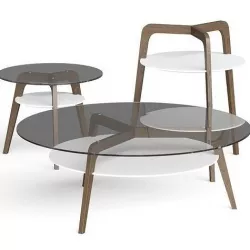Roche Bobois Flying Glass Coffee Tables 3D model