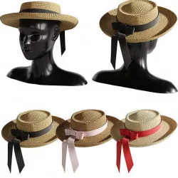 Straw hat 4 3D model