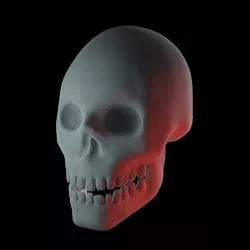 Stylized Human Skull 3D model