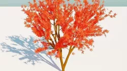 Tree Models Low-poly 3D model