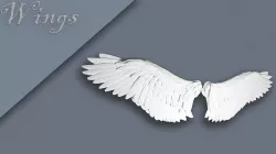 Wings  3D model
