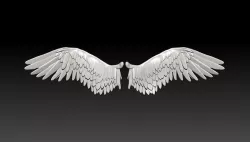 Wings high-poly 3D model 3D model