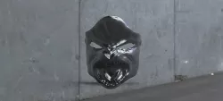 Wolf Mask 3D model
