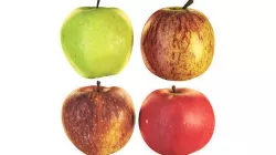 4k Apples apple 3D model