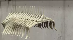 Bone Spine  3D model