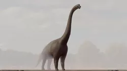 Brachiosaurus Low-poly 3D model
