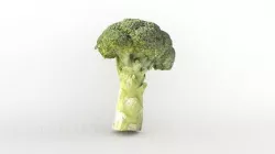 BROCCOLI 3D model