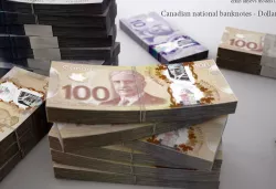 Canadian-Dollars 3D model