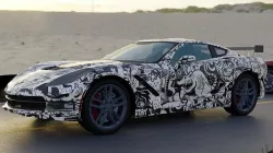 Chevrolet Corvette - Stay Furry sticker 3D model
