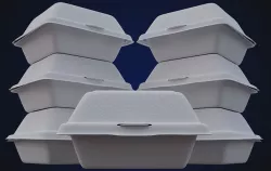Close Box Disposable - Food styrofoam Container 3D model