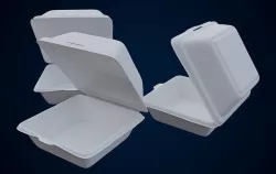 Disposable - Food Styrofoam Container 3D model
