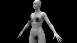 Female body 3D model