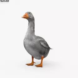 Goose HD 3D model