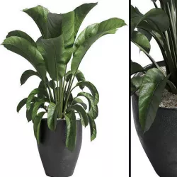 Indoor plant 85  concrete vase plant pot 3D model