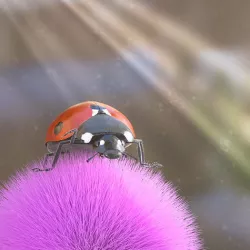 Ladybug 3D model