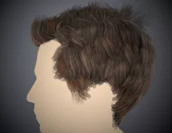 Male Curly Short Hairstyle  Low-poly 3D model